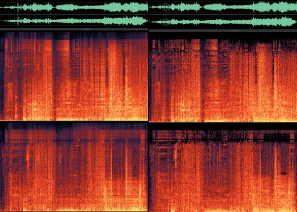 Side-by-side comparison of a lossless WAV file and a 96 kbps MP3 of the same audio. The waveforms look nearly identical, but the spectrograms differ sharply: the WAV shows continuous energy all the way to the top of the frequency range, while the MP3 has a dark, empty band across the upper frequencies where content has been discarded, and visibly sparser detail throughout.